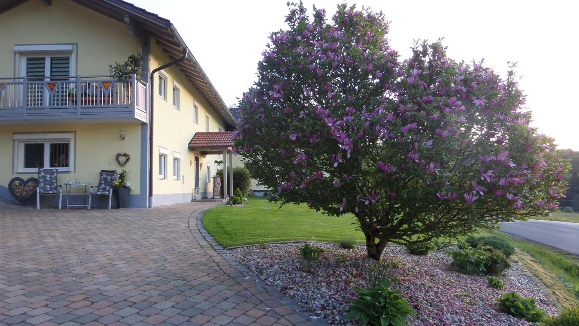 Appartamento Fw & Fh Luesselfeld Zwiesel Esterno foto